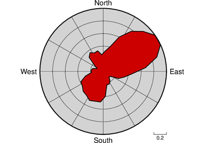 Rose diagram